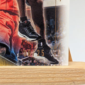 Allen Iverson [Spectrum] #3 2000 Spx /25 NBA FRENLY BRICKS - Open 7 Days