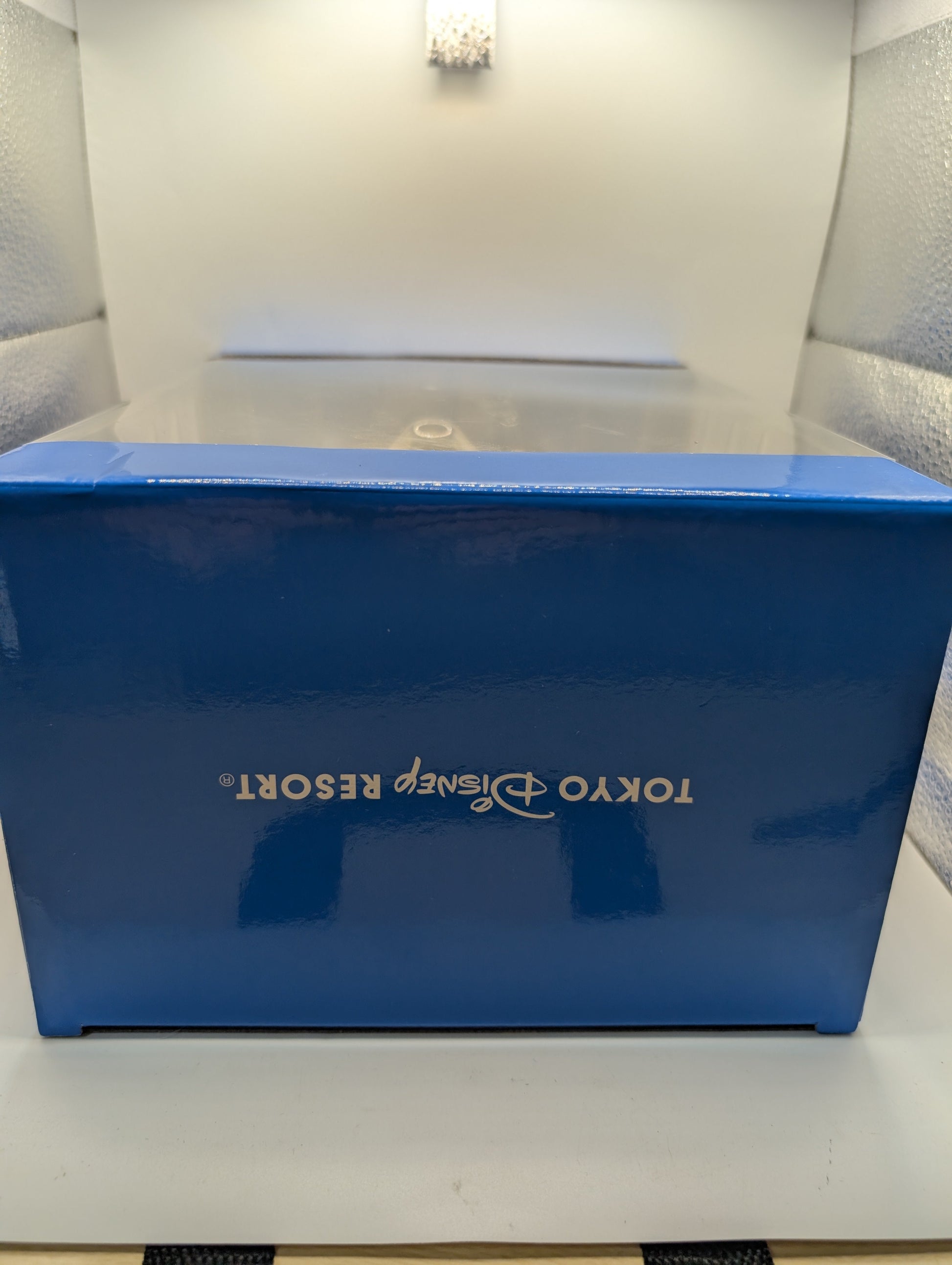 Tokyo Disney Resort Mickey Mouse Figure FRENLY BRICKS - Open 7 Days