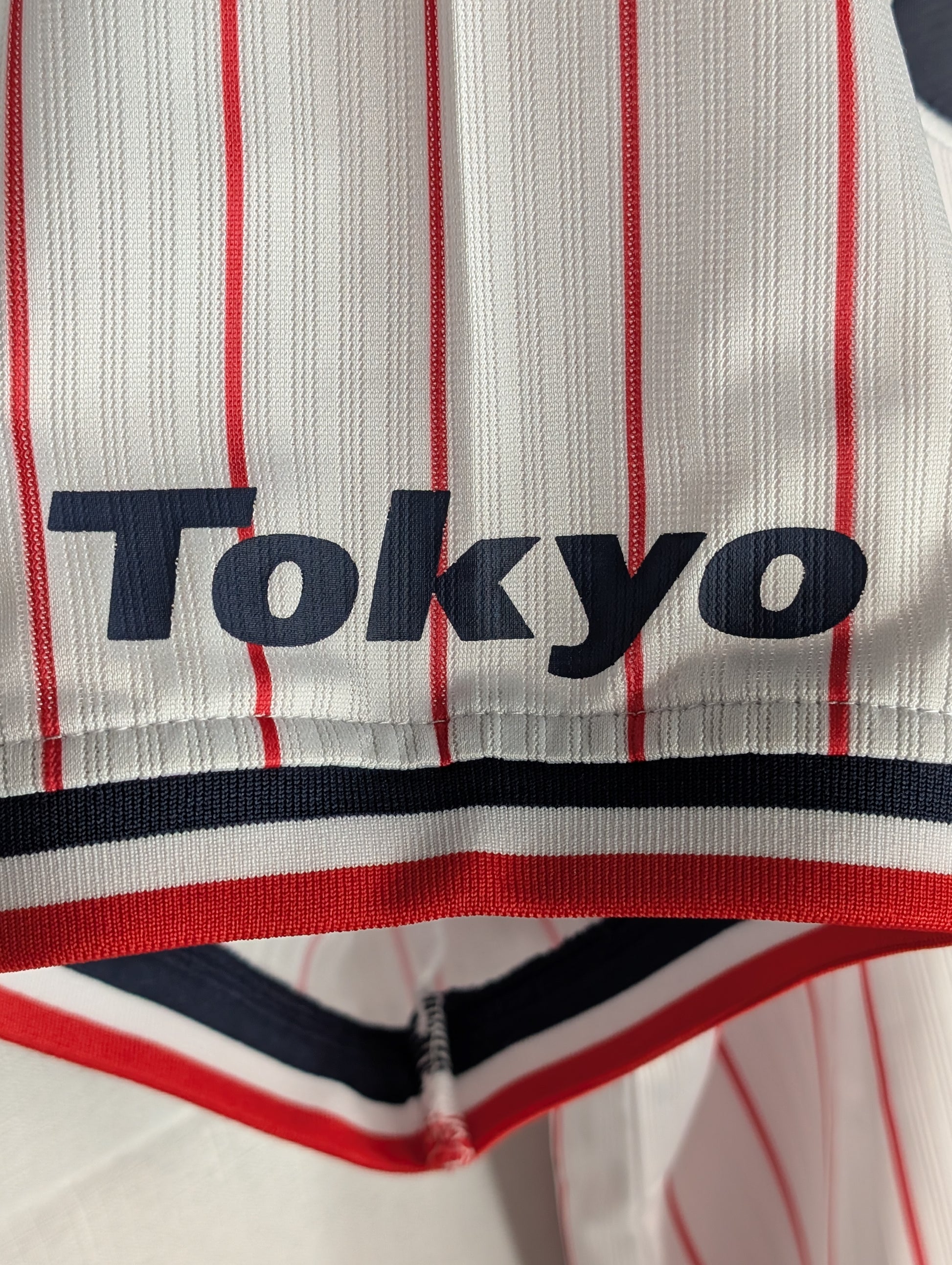 Nippon Baseball Tokyo Yakult Swallows 2016-2019 Home White/Red Blank XL Jersey