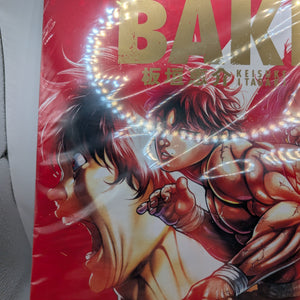 BAKI 30th Anniversary Art Book THE ARTWORK OF BAKI Large Format from Japan FRENLY BRICKS - Open 7 Days