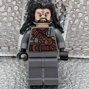 LEGO Minifigure The Hobbit and The Lord of the Rings lor067 Pirate of Umbar FRENLY BRICKS - Open 7 Days