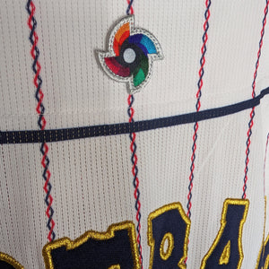 WBC Mizuno Samurai Japan 