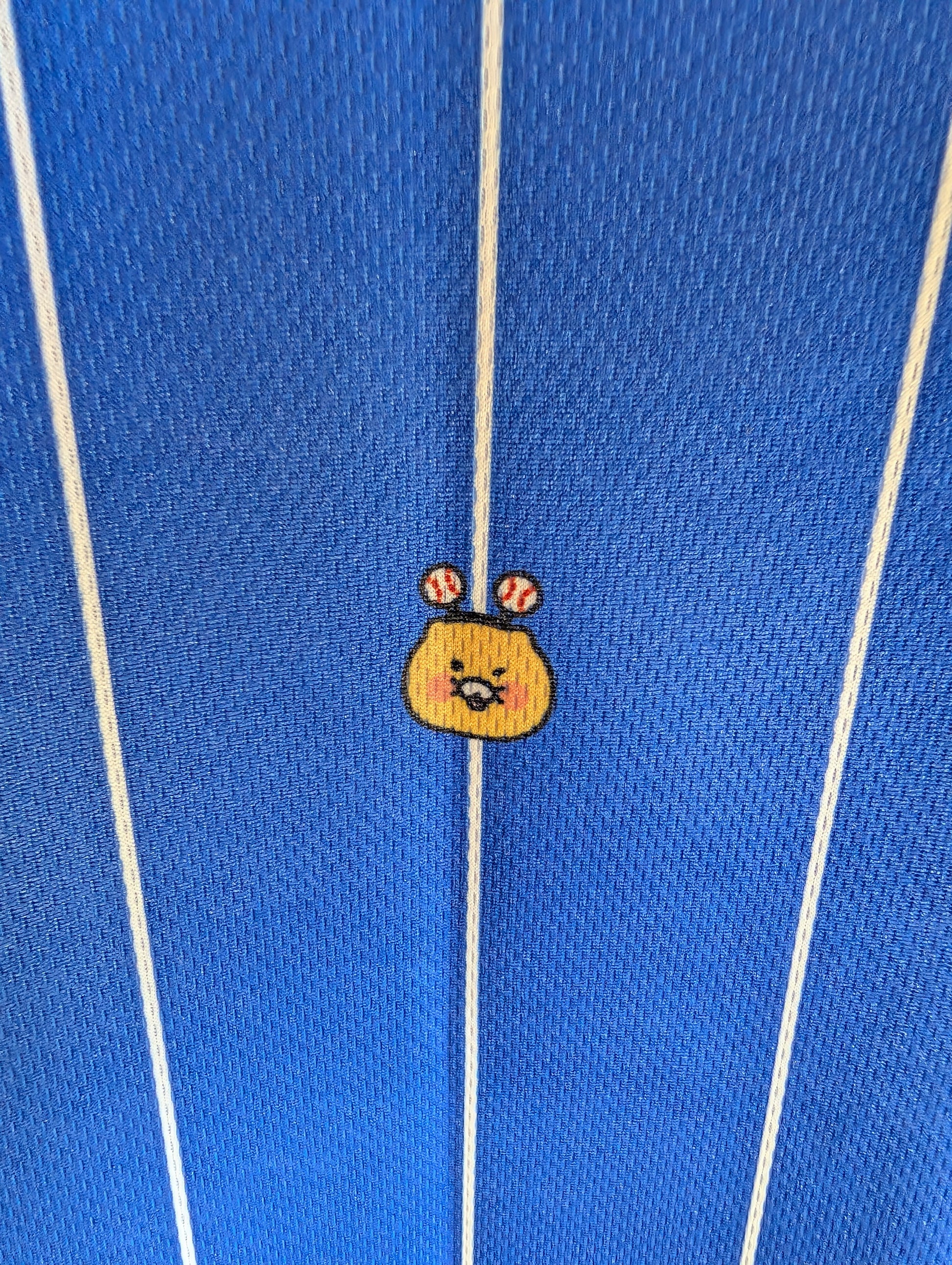 Pro Specs X Kakao Friends Sports for All Choonsik the Cat KBO National Team 2024 XXL