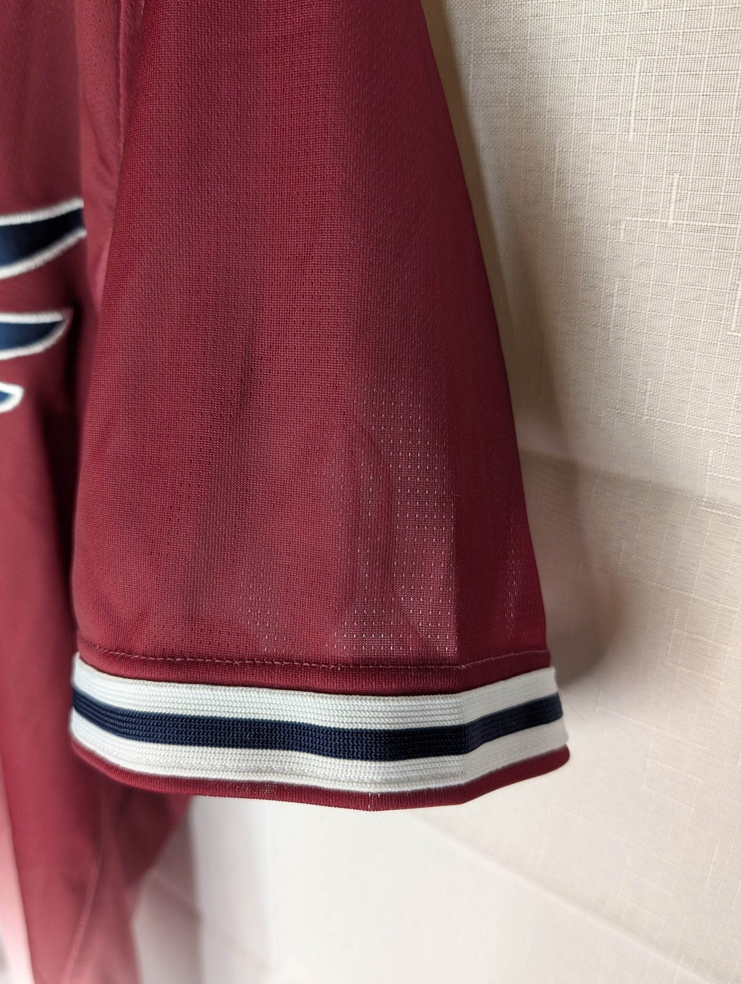 Nippon Baseball Tohoku Rakuten Golden Eagles Fans Uniform 2023 Crimson Large Jersey