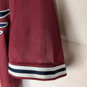 Nippon Baseball Tohoku Rakuten Golden Eagles Fans Uniform 2023 Crimson Large Jersey