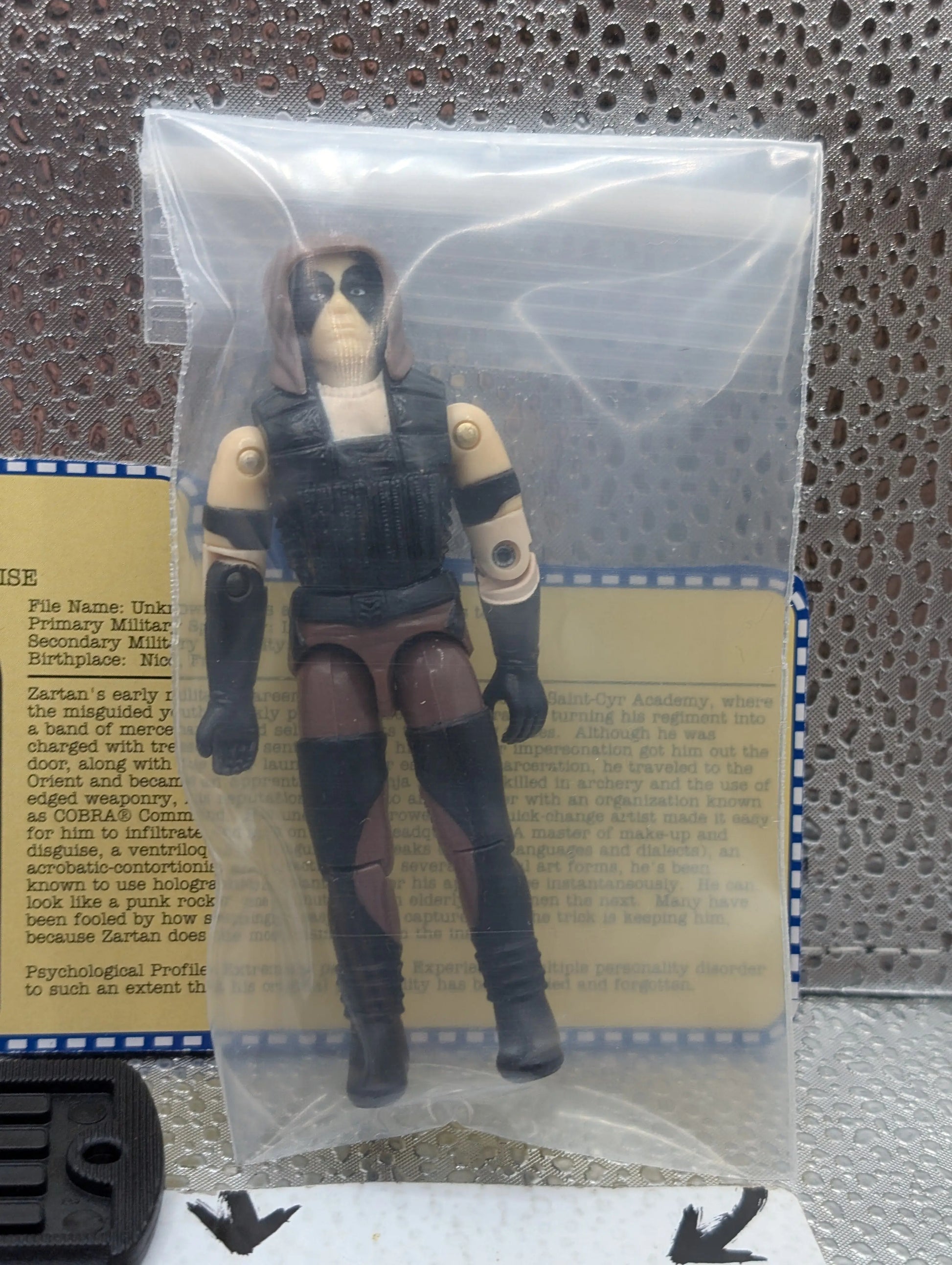 GI JOE~ 2001 ZARTAN ~ SPY EXCELLENT~ 100% complete & CARD 2000 FRENLY BRICKS - Open 7 Days