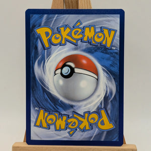 Karens Conviction 193/198 Chilling Reign Full Art Ultra Rare Pokemon Card FRENLY BRICKS - Open 7 Days