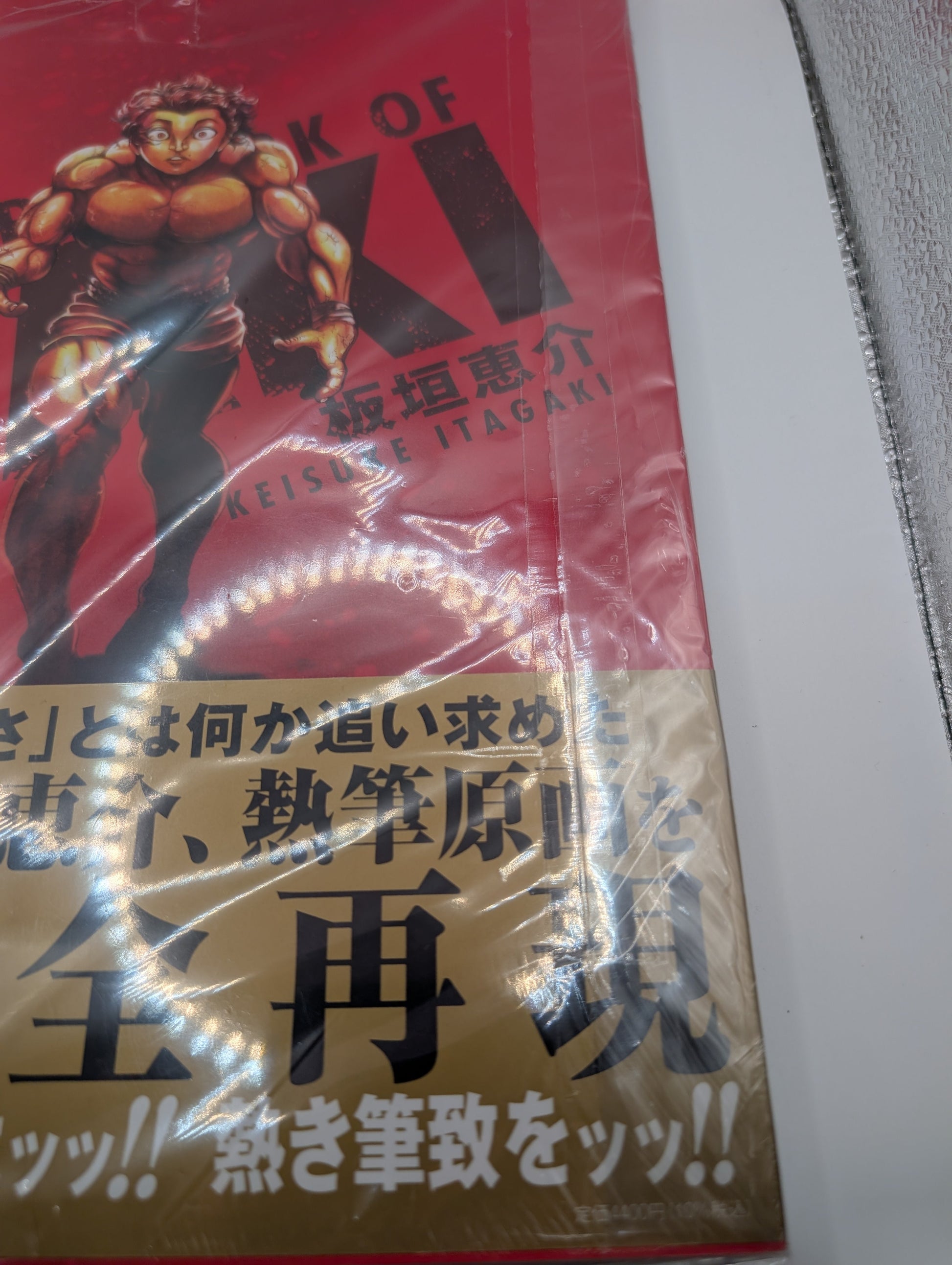 BAKI 30th Anniversary Art Book THE ARTWORK OF BAKI Large Format from Japan FRENLY BRICKS - Open 7 Days