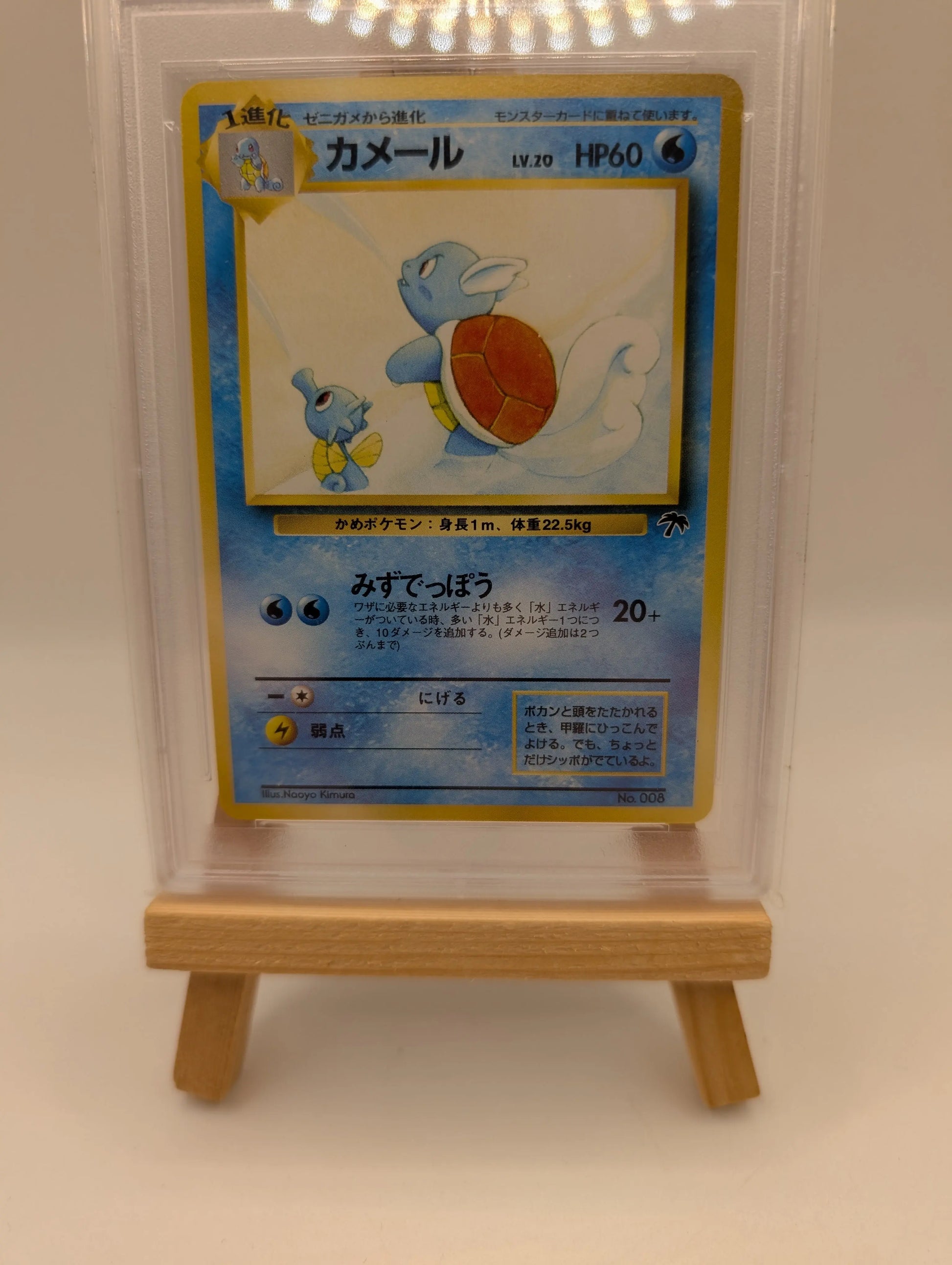 Pokémon 1999 P.M. Japanese Promo Wartortle Southern Island PSA 10 Gem MT #8 FRENLY BRICKS - Open 7 Days