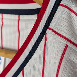 Nippon Baseball Tokyo Yakult Swallows 2016-2019 Home White/Red Blank XL Jersey