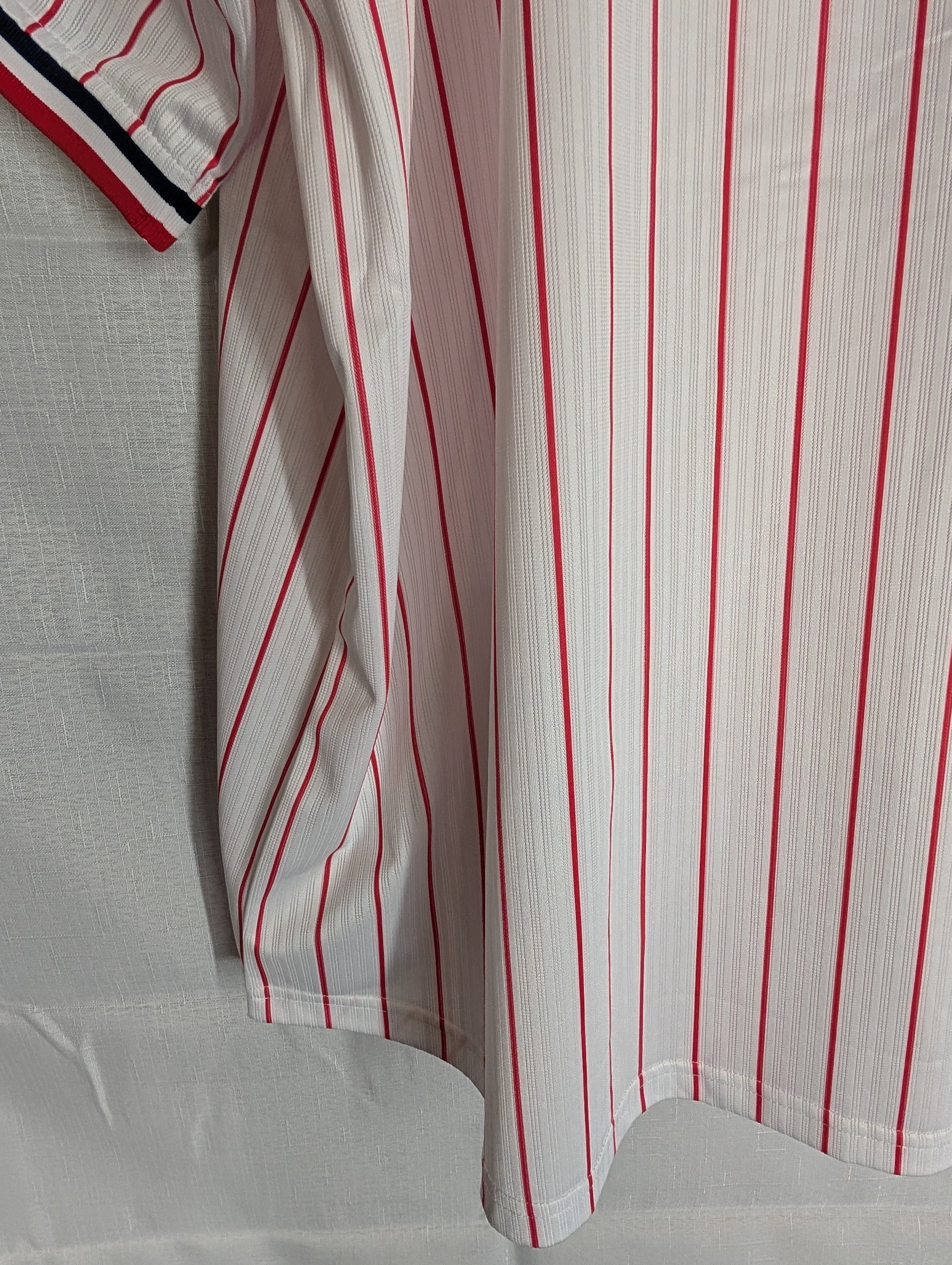 Nippon Baseball Tokyo Yakult Swallows 2016-2019 Home White/Red Blank XL Jersey