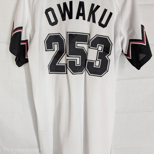 Nippon Baseball Chiba Lottes Marines 