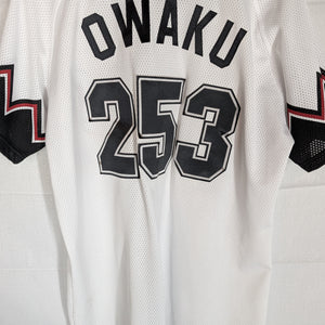 Nippon Baseball Chiba Lottes Marines 