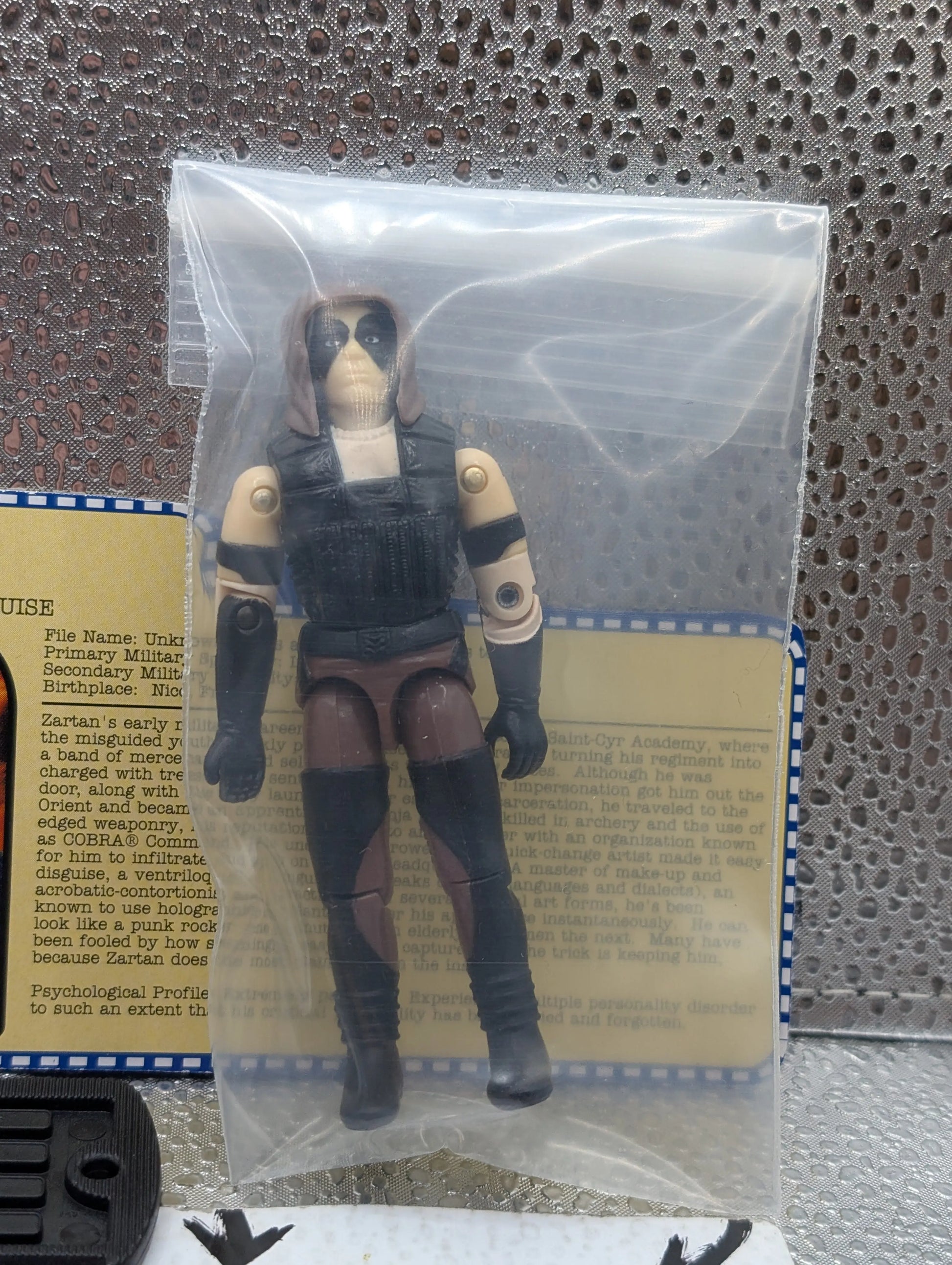 GI JOE~ 2001 ZARTAN ~ SPY EXCELLENT~ 100% complete & CARD 2000 FRENLY BRICKS - Open 7 Days